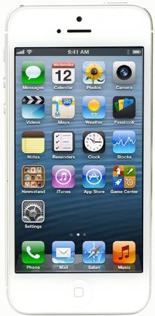 Смартфон Apple iPhone 5 64Gb White & Silver - Курган