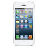 Apple iPhone 5 16Gb white - Курган