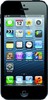 Apple iPhone 5 16GB - Курган